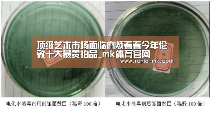 mk体育品牌站点