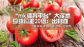 mk体育平台
