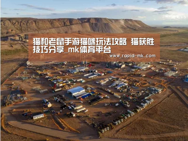 猫和老鼠手游猫咪玩法攻略 猫获胜技巧分享_mk体育平台(图1) mk sports