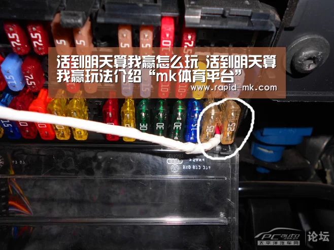 活到明天算我赢怎么玩 活到明天算我赢玩法介绍“mk体育平台”(图2) mk体育平台